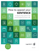 How to Appeal Your Sentence
