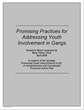Promising Practices for Addressing Youth Involvement in Gangs (Totten Report)
