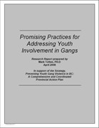 Promising Practices for Addressing Youth Involvement in Gangs (Totten Report)