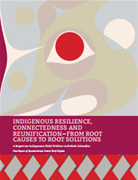 Indigenous Resilience, Connectedness and Reunification: A Report on Indigenous Child Welfare in British Columbia
