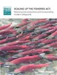 Scaling up the Fisheries Act: Restoring lost protections and incorporating modern safeguards