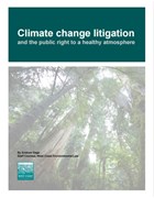 Climate change litigation and the public right to a healthy atmosphere