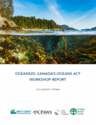 Oceans20: Canada's Oceans Act Workshop Report
