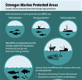 Infographic: Stronger Marine Protected Areas