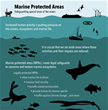 Back to top Infographic: Marine Protected Areas