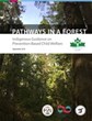 Pathways in a Forest: Indigenous guidance on prevention-based child welfare