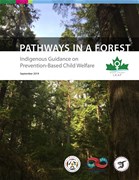 Pathways in a Forest: Indigenous guidance on prevention-based child welfare