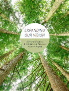 Expanding our Vision: Cultural Equality and Indigenous Peoples' Human Rights
