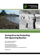 Saving Orcas by Protecting Fish Spawning Beaches