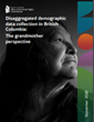 Disaggregated demographic data collection in British Columbia: The grandmother perspective