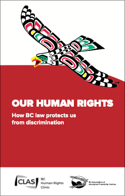 Thumbnail of the booklet cover with a large Indigenous illustration of an eagle.